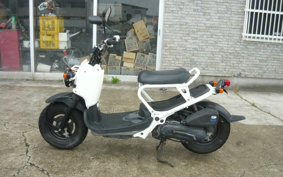 HONDA ZUMAR AF58