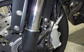 HARLEY X500 2024