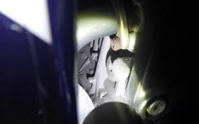 SUZUKI GSX-R1000 2007