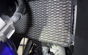 SUZUKI GSX250 R 2023