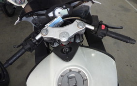 OTHER メガリ 250R