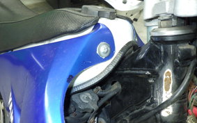 YAMAHA DT200 Gen.2 WR 2024 3XP