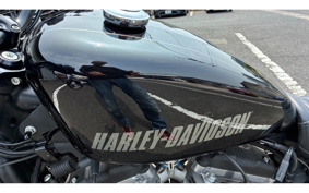 HARLEY XL1200CX 2016 LM3