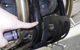 TRIUMPH SPEED TWIN 2024