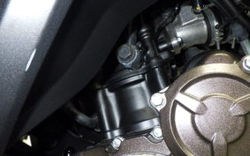 SUZUKI ｼﾞｸｻｰ250SF 2025 ED22Y