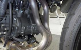 KAWASAKI Z250 Gen.2 2024 EX250Y