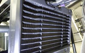 HONDA REBEL 1100 DCT 2023 SC83