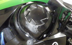 KAWASAKI NINJA 1000 2010