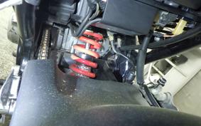 KAWASAKI BALIUS 250 ZR250A