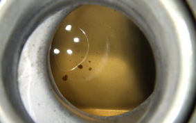 KAWASAKI ZEPHYR 750 2006 ZR750C