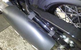 HARLEY FLSL 1750 2020