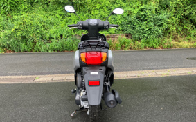 HONDA  TACT  BASIC  AF79