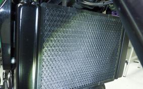 BENELLI レオンチーノ250 2012