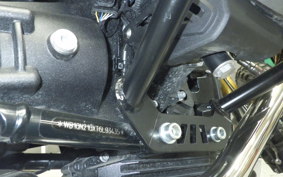 BMW R12G/S 2025