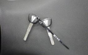 KAWASAKI NINJA 250 2010 EX250Y