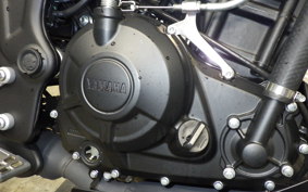 YAMAHA MT-25 A RG74J