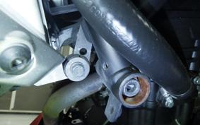 YAMAHA MT-25 RG10J