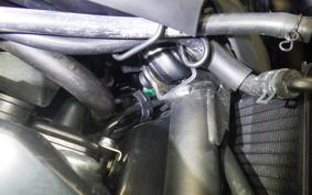 KAWASAKI Z900RS CAFE 2023 ZR900K