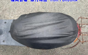 OTHER  JOG  POCHE -2