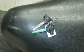 YAMAHA CYGNUS 125 XSR 3