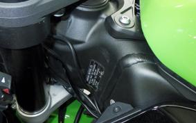 KAWASAKI NINJA ZX-6R A 2022 ZX636G