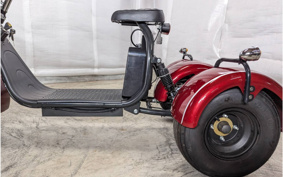 HONDA  BLAZE EV TRIKE  DMJC