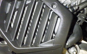 HONDA TACT Basket 2002 AF79