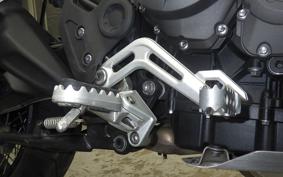 TRIUMPH TIGER 900 RALLY PRO 2022