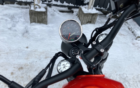 HARLEY X500 2024 W5B