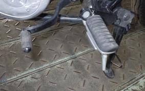KAWASAKI W230 2021 BJ230A
