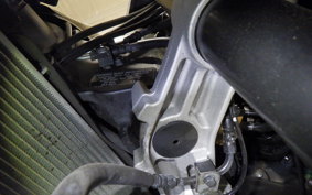 KAWASAKI NINJA 1000 SX 2021 ZXT02K