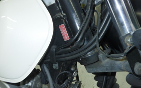 SUZUKI GRASS TRACKER Bigboy 2020 NJ4BA