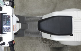 HONDA GYRO X 2009 TD02