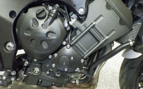 YAMAHA FZ1 FAZER 2013 RN21J