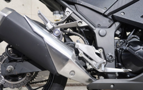 KAWASAKI NINJA 250 EX250L