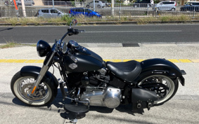 HARLEY  HARLEY FLS 2019 JRV