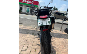TRIUMPH TIGER 900 RALLY PRO 2025 TRC83D