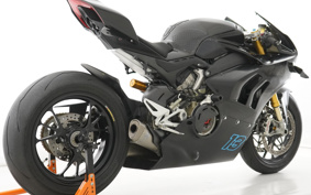 DUCATI PANIGA-REV4R 2019