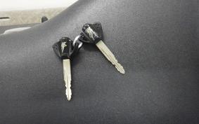 SUZUKI HAYABUSA Gen.2 2010