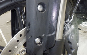 TRIUMPH SPEED TWIN 900 2025