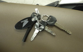 HONDA CL250-2 2017 MC57