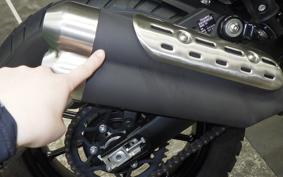 TRIUMPH SCRAMBLER400X 2025