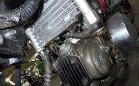 HONDA MONKEY 1998 Z50J