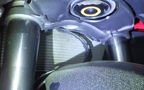 DUCATI PANIGALE V2 2024