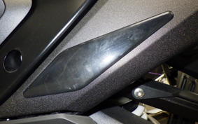 BMW R1300GS ASA 2025