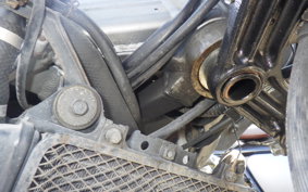 KAWASAKI ZZ-R250 EX250H