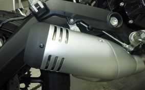 DUCATI SCRAMBLER ICON 2021