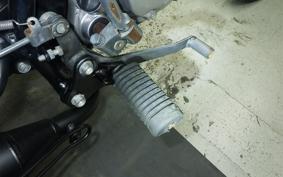 HONDA APE 50 2022 AC16