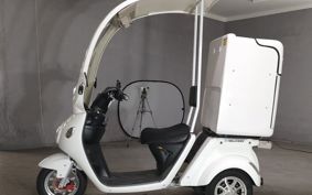 OTHER  BLAZE EV DELIVERY  ..