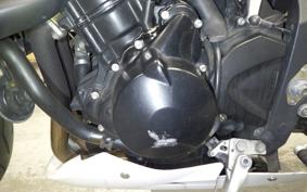 TRIUMPH STREET TRIPLE 2009